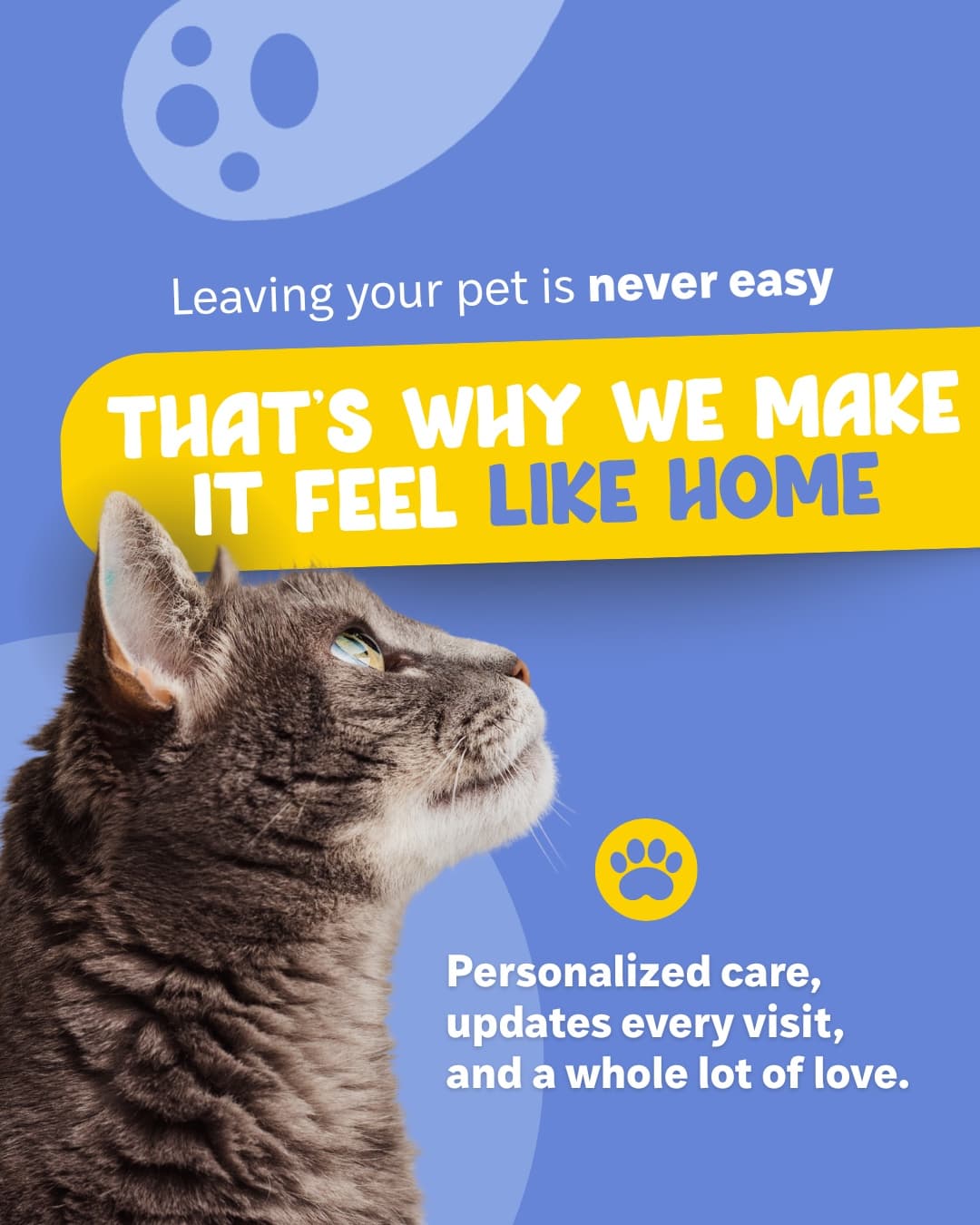 LUI Pet Care campaign featured visual